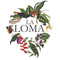La Loma Jungle Lodge & Chocolate Farm
