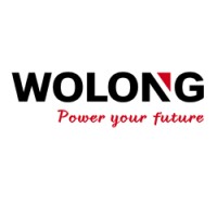 Wolong Electric America