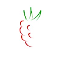 Raspberry Software Systems Limited