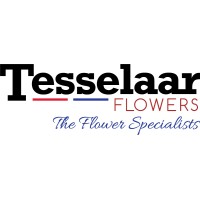 Tesselaar Flowers