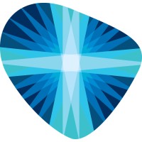Remington Medical Inc.