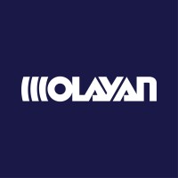 Olayan Saudi Holding Company