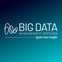 Big Data Management Services