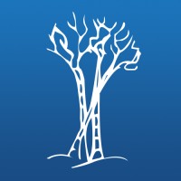 Birchwood Credit Services