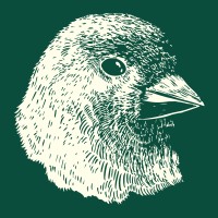 Finch