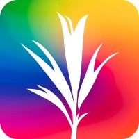 Development Seed