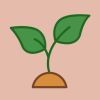 Seedling
