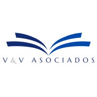 VYV | Cross-border Tax Strategy