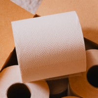 PlantPaper