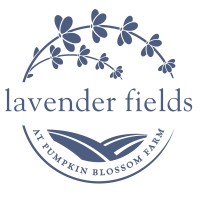 Lavender Fields at Pumpkin Blossom Farm
