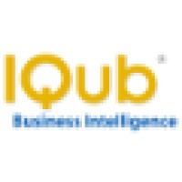 IQub - Business Intelligence