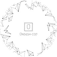 Undash-cop Private Limited