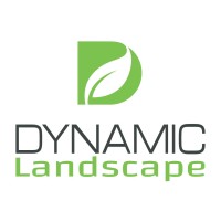 Dynamic Landscape
