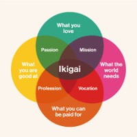 GFI Team Ikigai