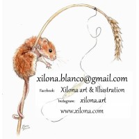 Xilona Art & Illustration