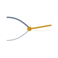 Cognium Labs
