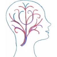 Neurowellness, LLC