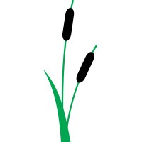 Bio-Tech Consulting