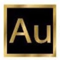 Augment Global Solutions