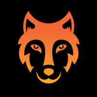Wolfpack Financial Inc 