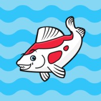 coi Agency - Premier Shopify Plus Partner