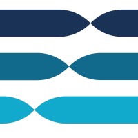 Nethex