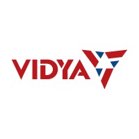 Vidya Wires