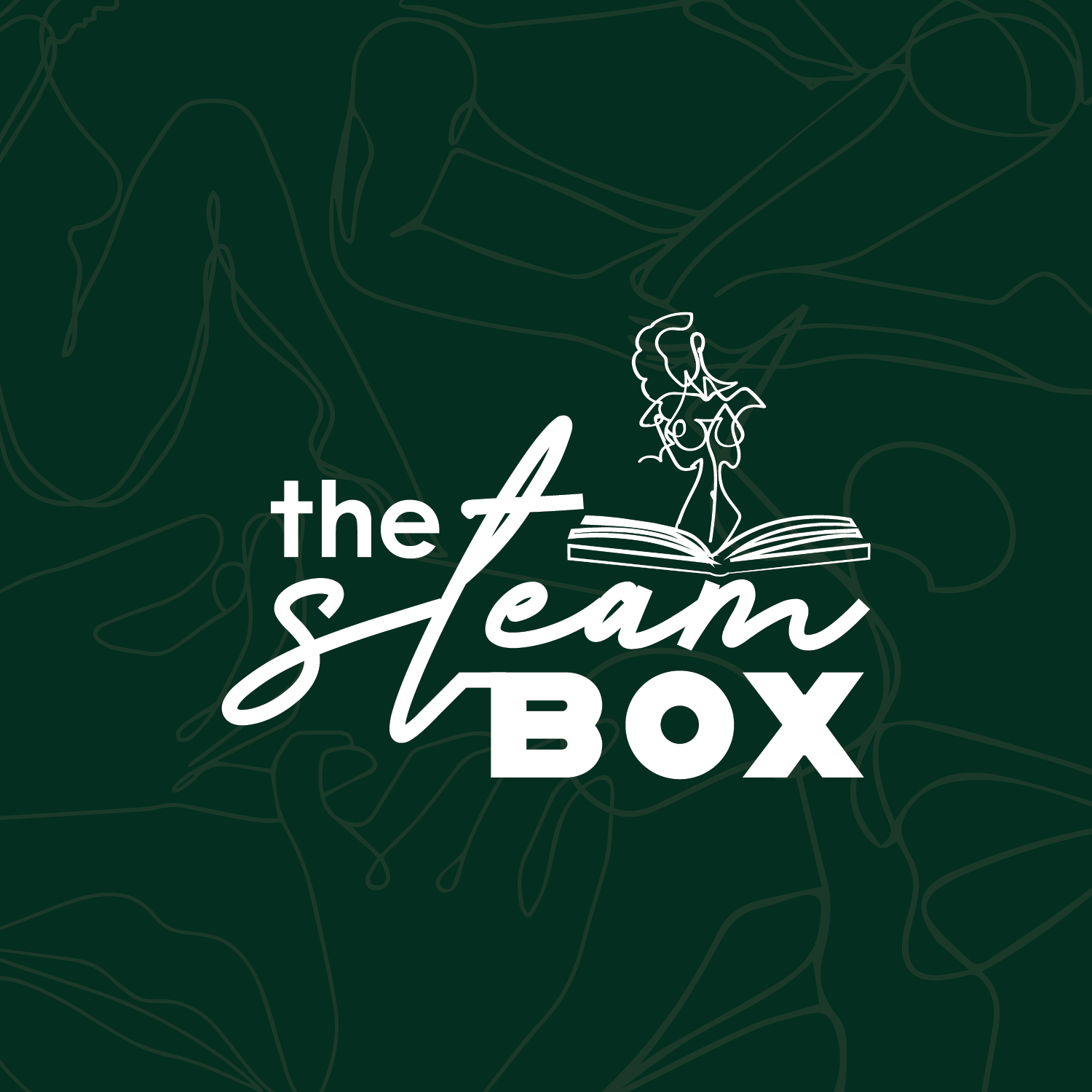 Steamy Lit - The Steam Box