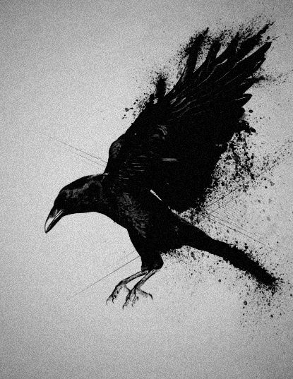 Dark Crow Sales