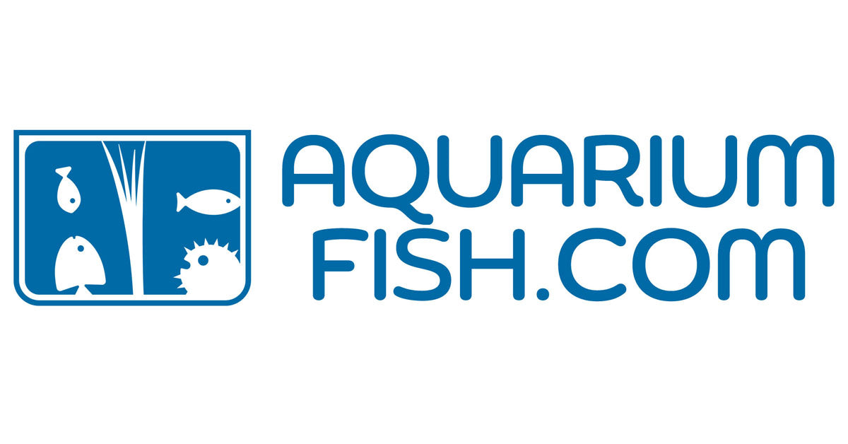 AquariumFish.com
