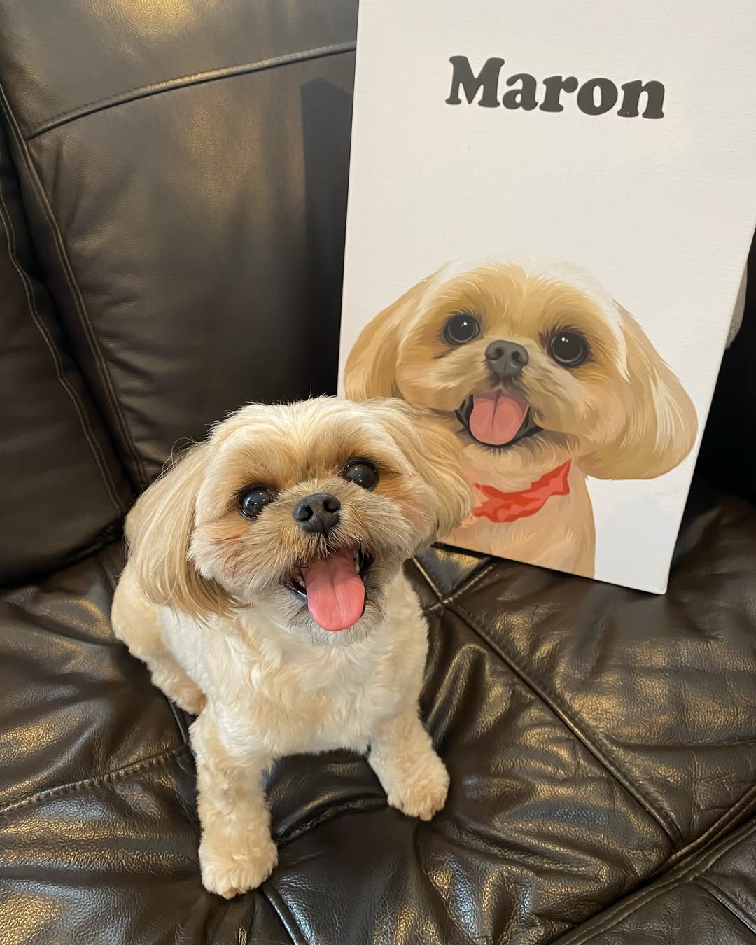 PET CANVA