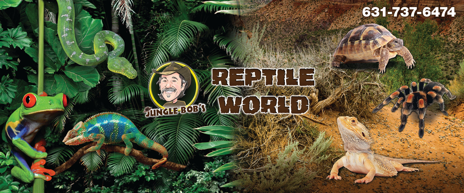 Jungle Bobs Reptile World