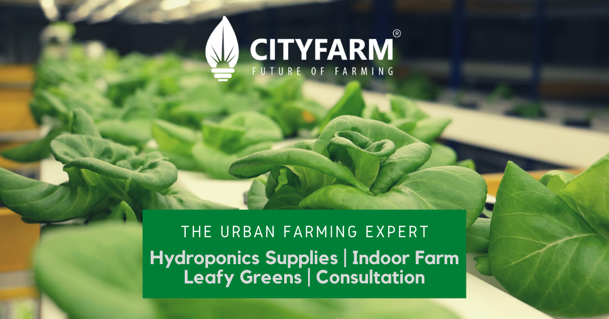CityFarm Malaysia