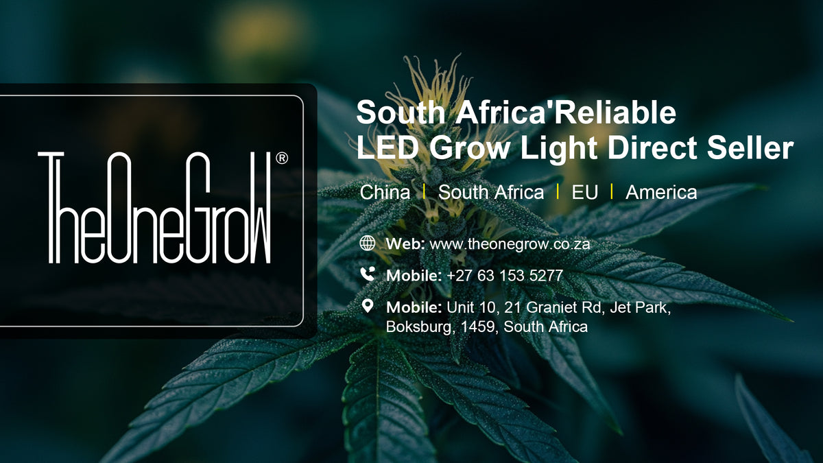 TheOneGrow
