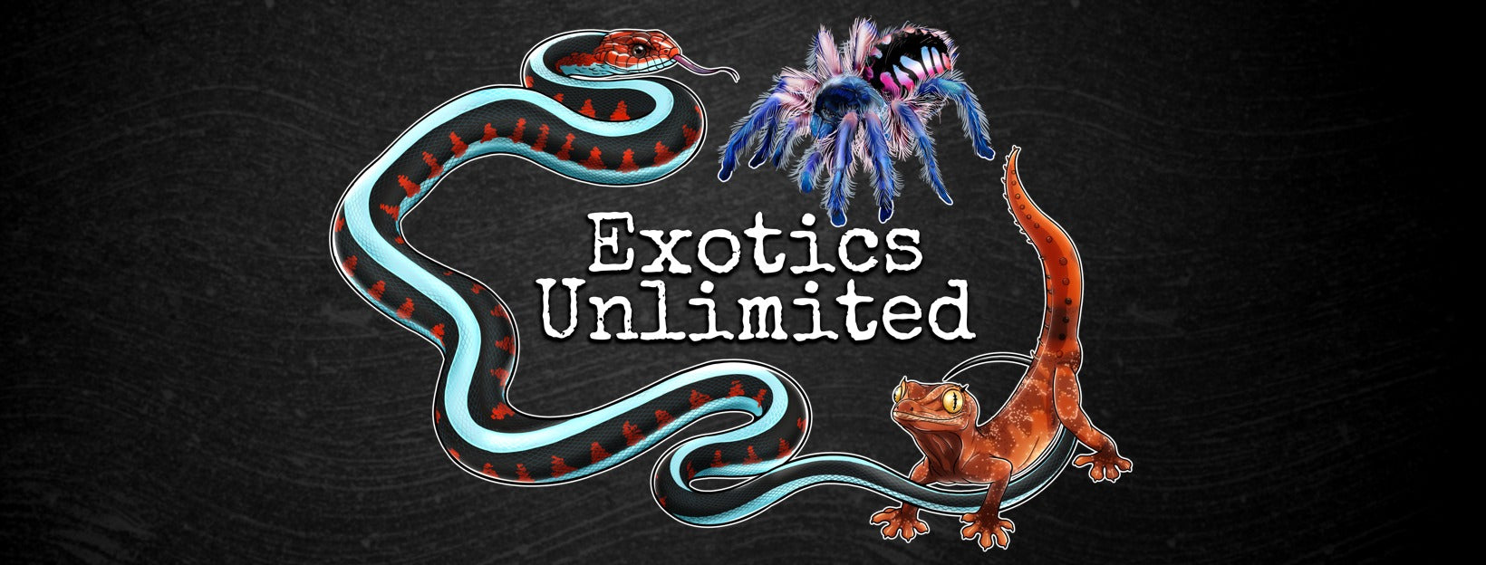 Exotics Unlimited