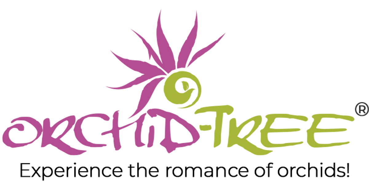 Orchid-Tree