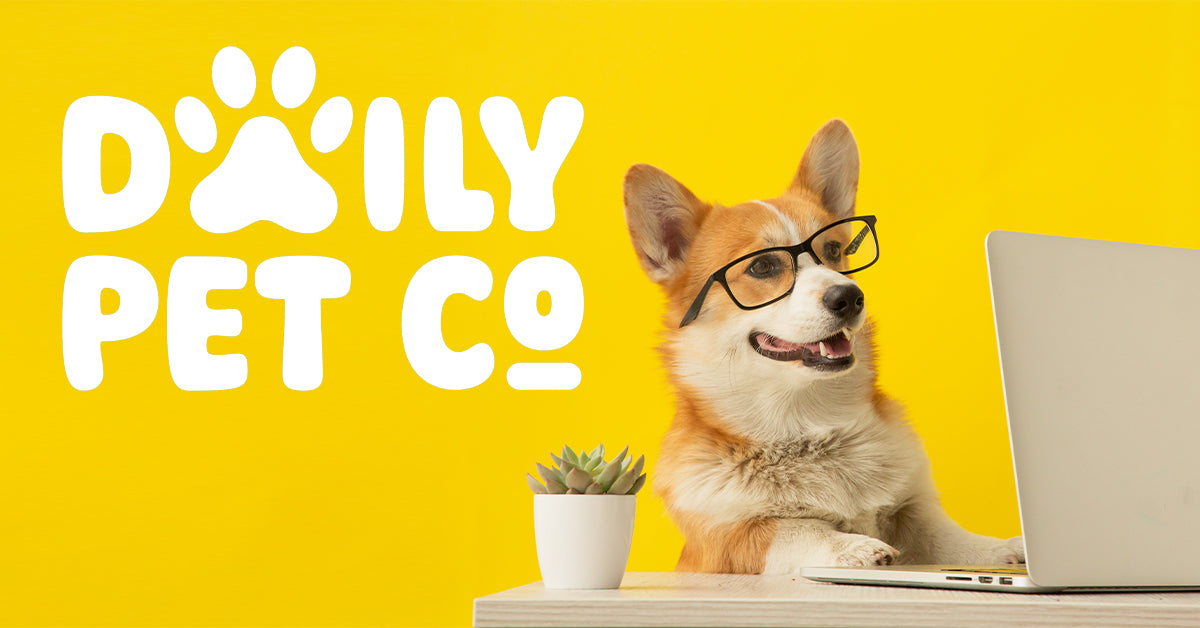 Daily Pet Co.