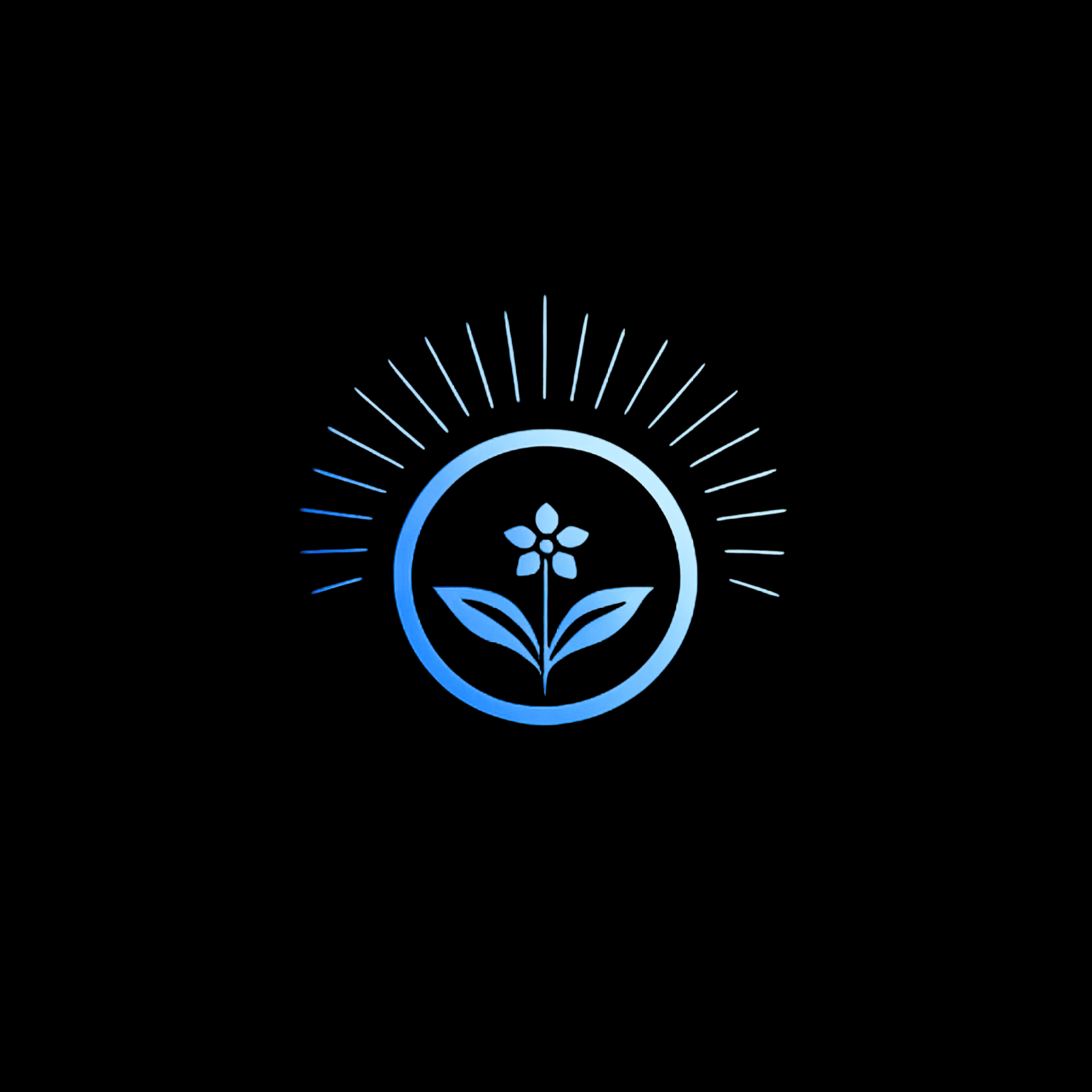 CsuriShop