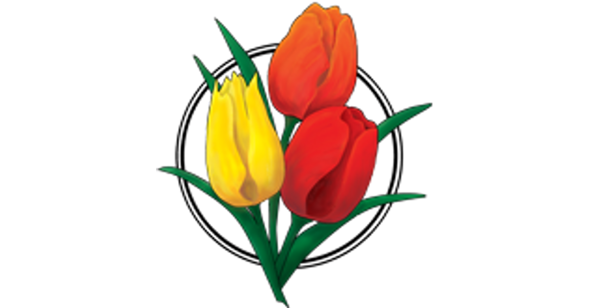 VDQ Bulbs