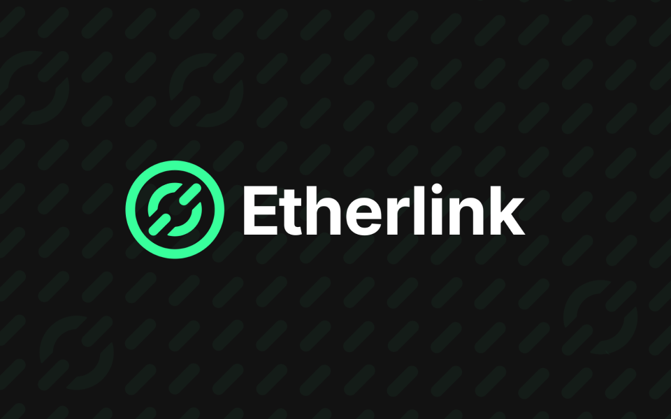 etherlink.com
