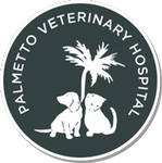 Palmetto Veterinary Hospital