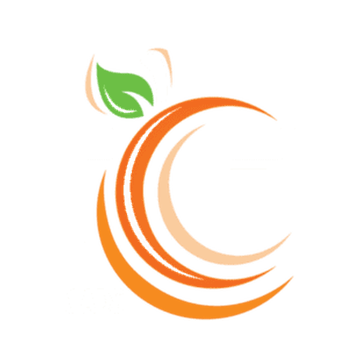 Fresh Smoothies in Atlanta | Wraps & Jamaican Patties at Get Fruity