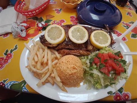 Frida's Tacolandia