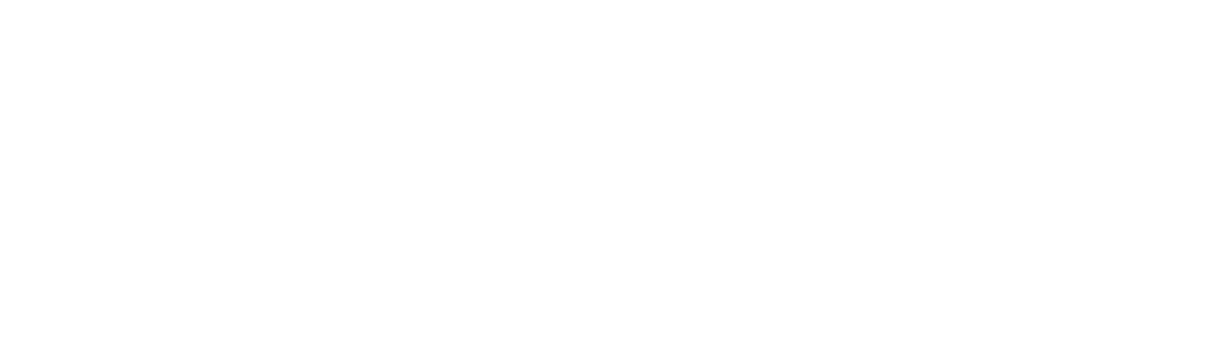 THE BLUEBIRD BAR