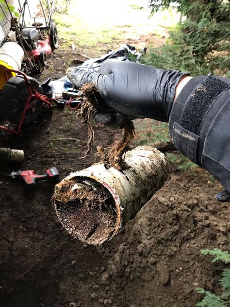Plumber | Kenmore, WA | Steve's Plumbing