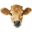 Brown Cow