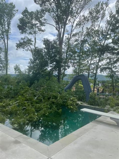 Tree Service Chattanooga: Removal, Trimming, & Storm Cleanup