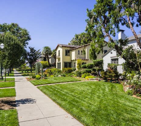 NewVista Tree Service