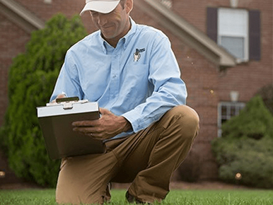 Lawn Doctor Of Stafford