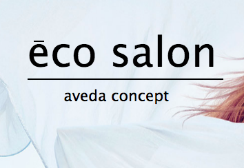 eco salon 